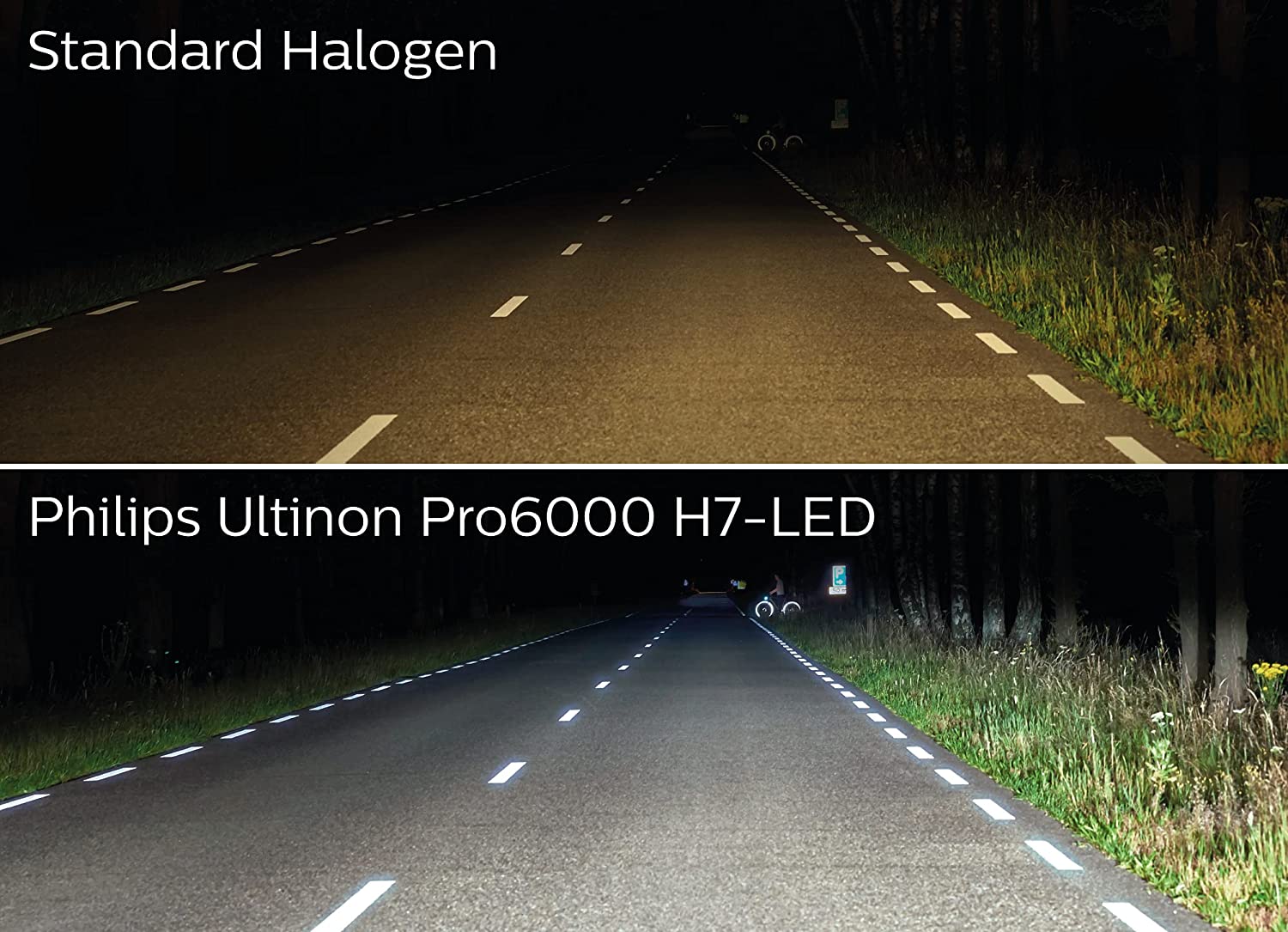 Daylights Austria - Philips C5W 43mm LED Ultinon Pro6000 SI 4000K Soffitte